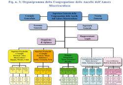 Fig. n. 3: Organigramma della Congregazione delle Ancelle dellAmore Misericordioso